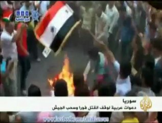 دعوات عربية لوقف نزيف الدم السوري