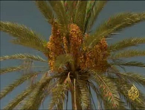 مدينة بنغازي بداية نهاية حكم معمر القذافي