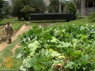 Venezuelan urban famers under criticism