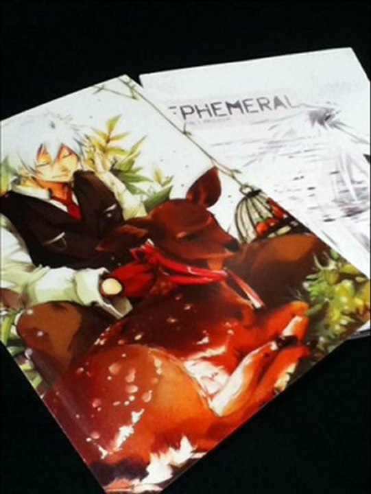 Japan Expo 2012 : interview Ephemeral Comic