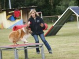 photos concours agility Morlaix