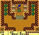 Zelda : Link's Awakening DX [9] Des objets à la loupe