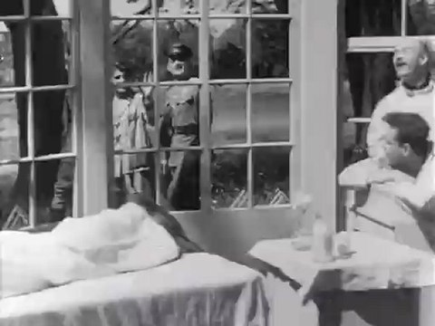 Первым делом самолеты-Небесный тихоход