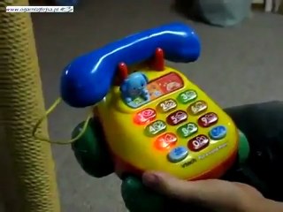 Oyuncak Telefon Kafayı Yedi!