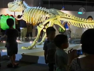 Динозавр из 80 тысяч кубиков Лего поразил Тайвань