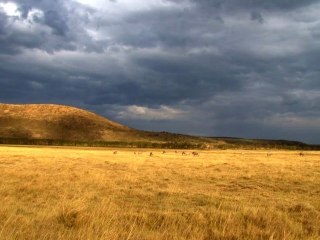 72h au Kenya, Lac Nakuru '12