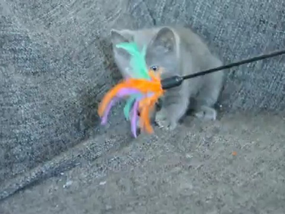 Hanoï des Rives d'Estaing