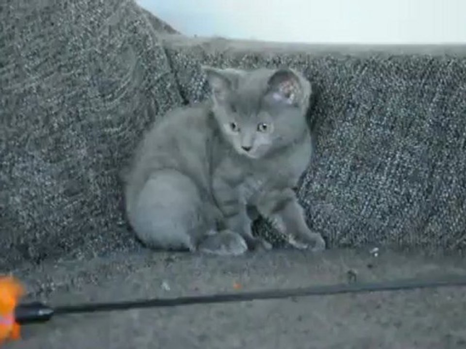 Hayden des Rives d'Estaing