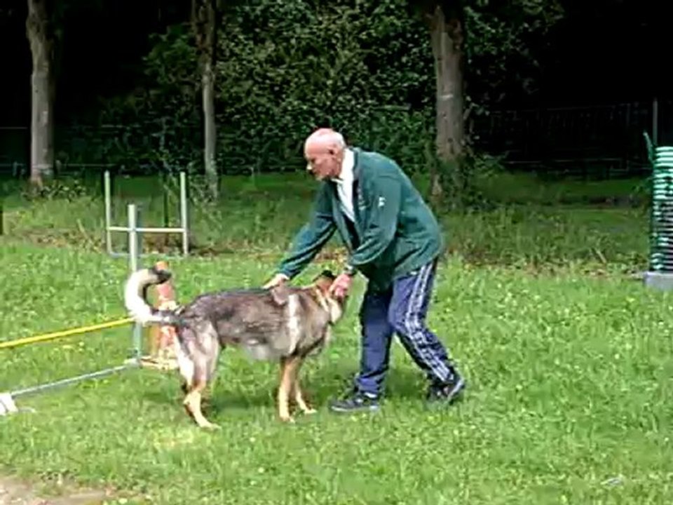 Faro du Domaine de Kilorff à l'entraînement le samedi 14 juillet 2012