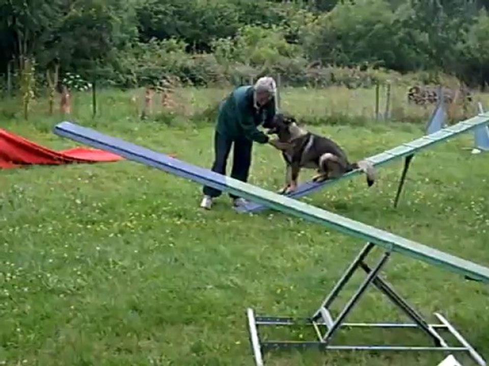 Glück du Domaine de Kilorff, en apprentissage, en agility le samedi 14 juillet 2012