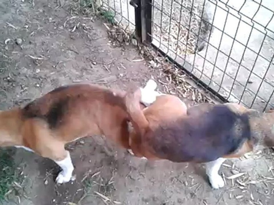 Figo et Maddy 12.07.12