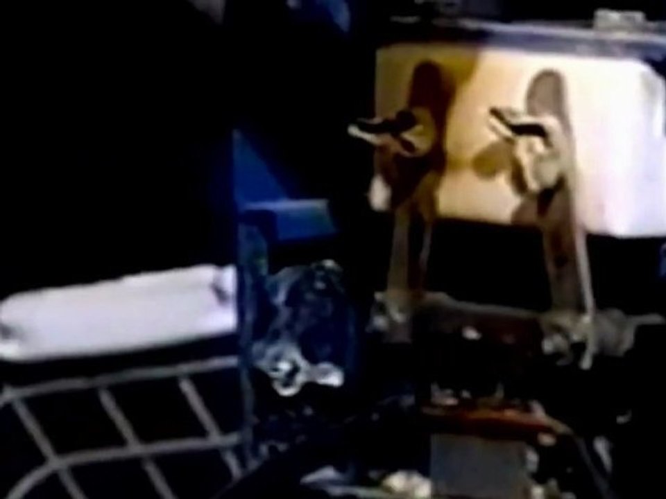 Come vengono preparati i MC NUGGETS al MAC DONALD