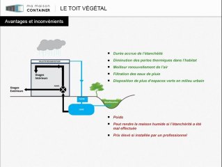 Toiture végétalisée