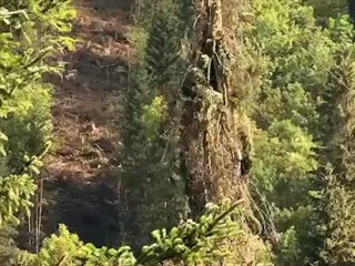 La filière bois en Savoie