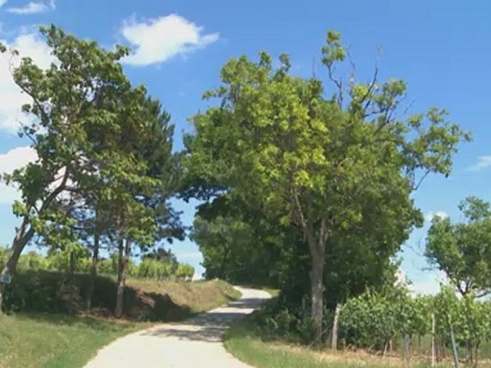 Toyota Prius Plus 2012 | HD - English