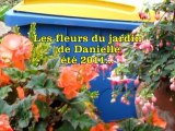 Fleurs du jardin de Danielle - Eté 2011