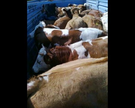 SATILIK KÖY EVİ - HAZER EMLAK TEL: 0546 851 6657