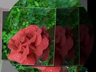 SZERESSÜK EGYMÁST GYEREKEK