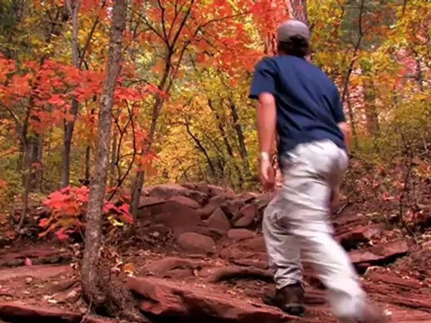 People Born in Fall More Likely to Live to 100