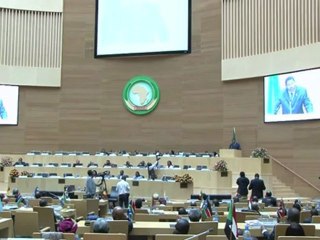 New African Union leader calls for unity and cohesion