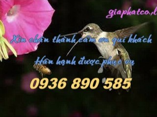 Sửa nhà,chống thấm giá rẻ quận 2 call 0907 323 053