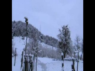 tutamadım akça kızın elini