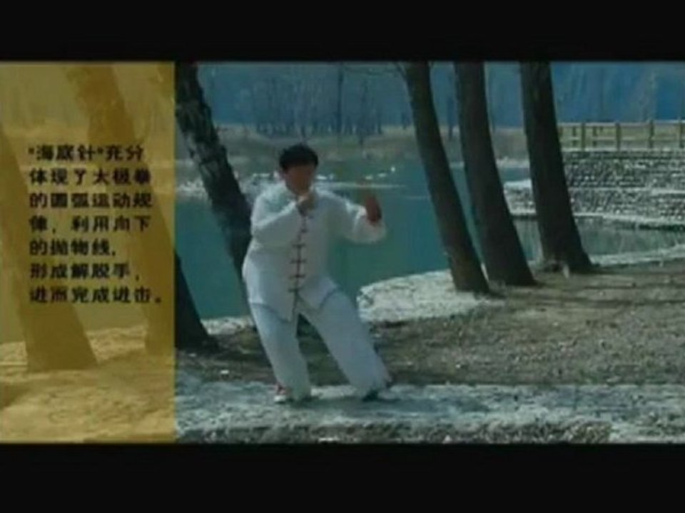 舞蹈与武术，太极拳，长拳与南拳