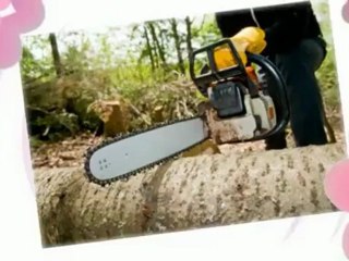 All Seasons Tree & Bucket Service - (717) 672-1216