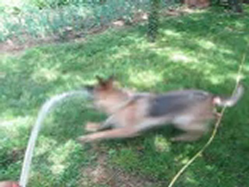 Jeux d'eau