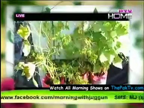 Morning With Juggan By PTV Home - 17th July 2012 - Part 2/4