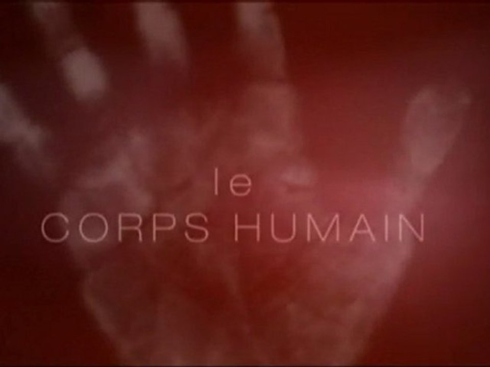 Le corps humain (étonnantes adaptations)