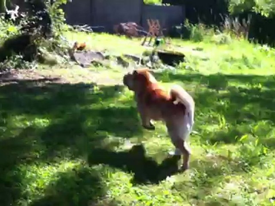 Vickie dans le jardin