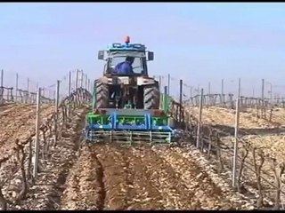 Outil combiné pour vigne