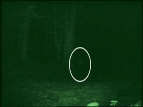 Destination truth - Bosque de los Suicidios y Aswang