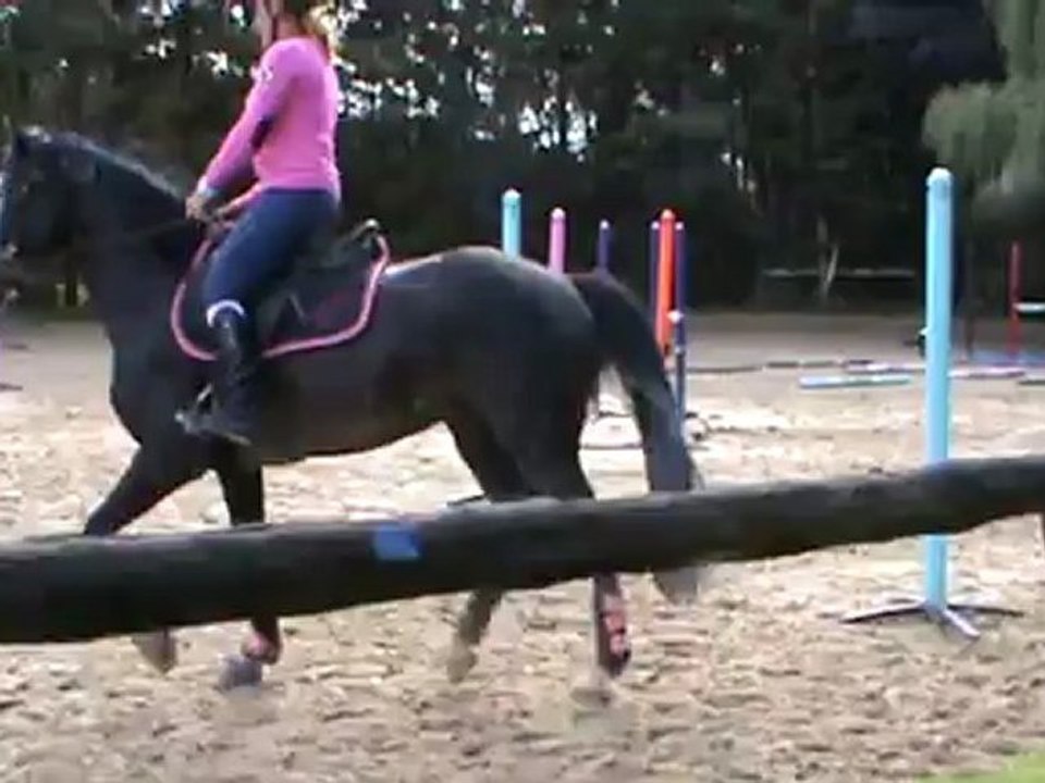Séance saut 15 07 12.5