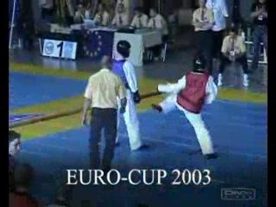 Taekwondo libre