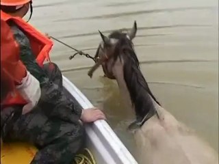 Floods sweep southern China