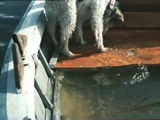 Только солнце-Трое в лодке не считая собаки