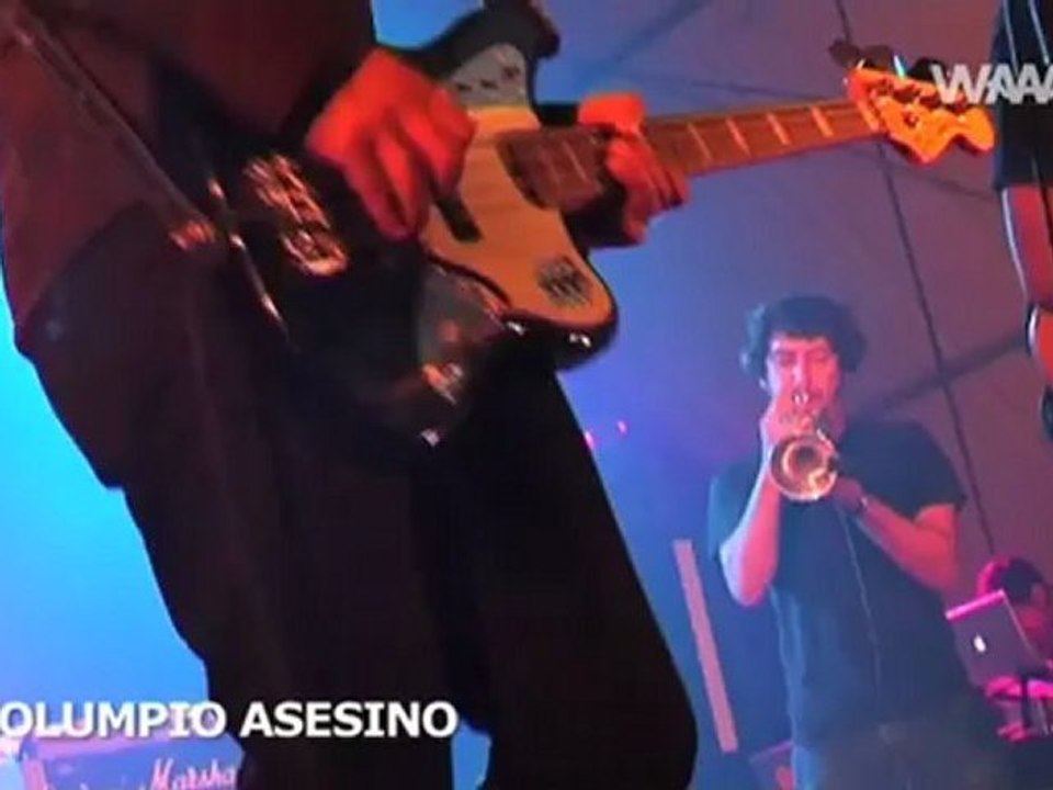 Palm Fest Report 2009 - WaaauTV