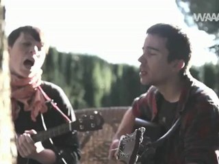 ANIMIC - Blue eyed tree