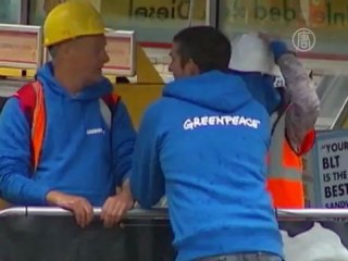 «Гринпис» и белый медведь призывают спасти Арктику