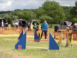 Concours Obernaumen 2012 - Sheeper,Djoyce et Alias