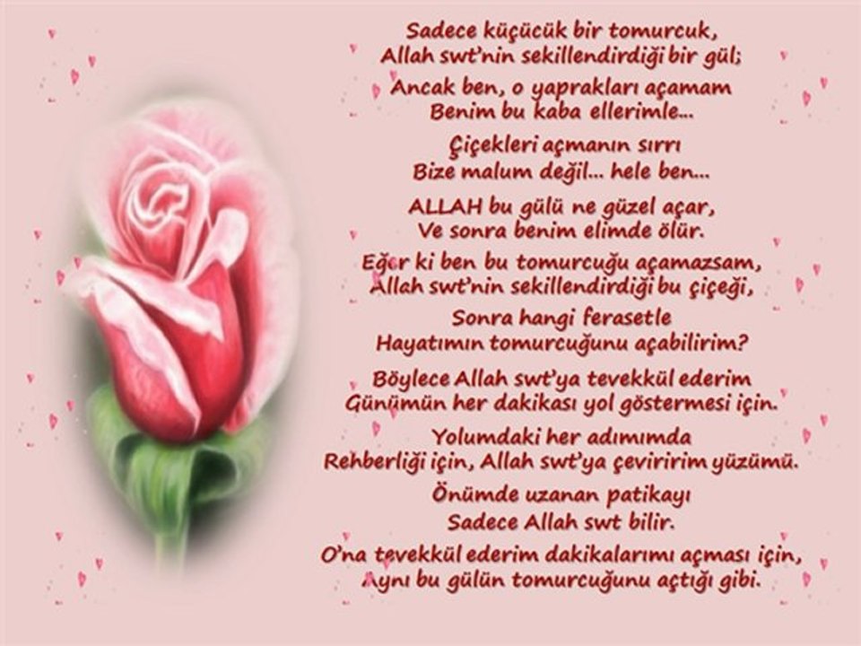 Allah swt nin Sekillendirdigi Tomurcuk