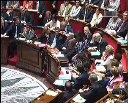 Cécile Duflot huée par les députés UMP