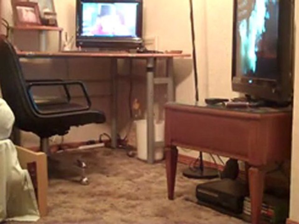 How To Keep Your Dog Entertained!