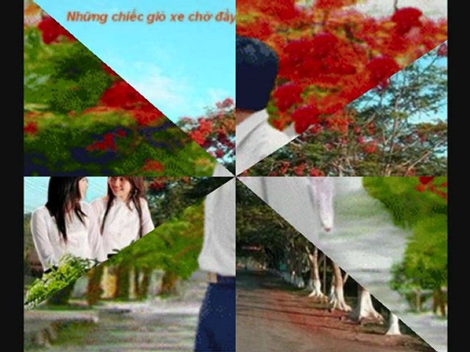 Phượng hồng - Thanh Tùng - Minh Châu