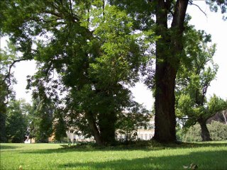 Religions God with us