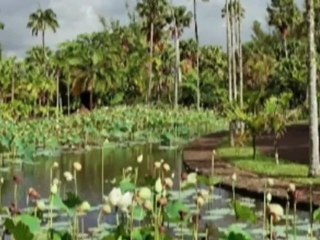 Tian - LavIi normal - feat OSB crew & jordan corentin