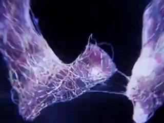 Resident Evil 6 Comic-Con Trailer Revealed! 🎮