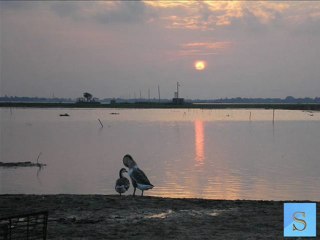 Shahnaz Rahmatullah- Tumi Ki Sei Tumi